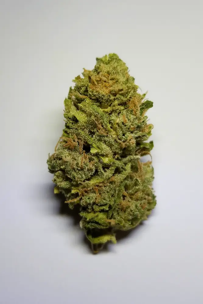 Northern Lights Strain Review