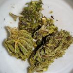 Bubba’s Gift Strain Review