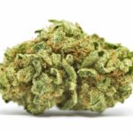 Dirty Girl Strain Review