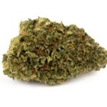 King Louis XIII Strain Review