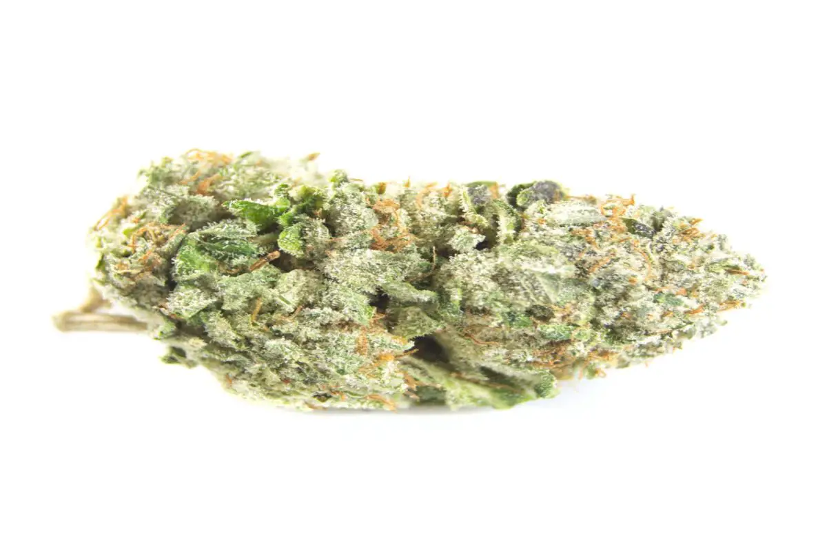 Sweet Tooth Strain Review